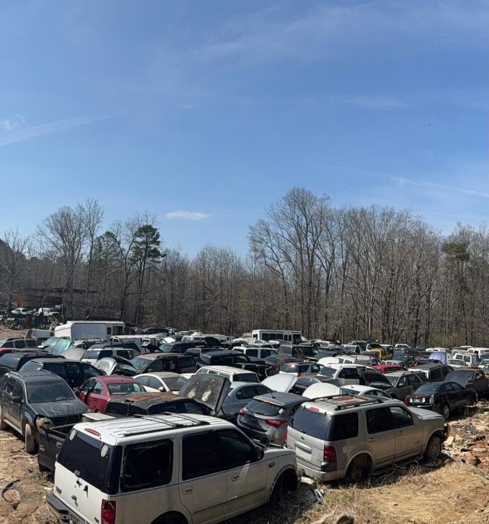 WhatsApp Image 2026-03-12 at 11.03.46 AM